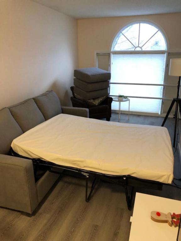 #304 Mountain View 1Br In Canmore Dt Ngoại thất bức ảnh